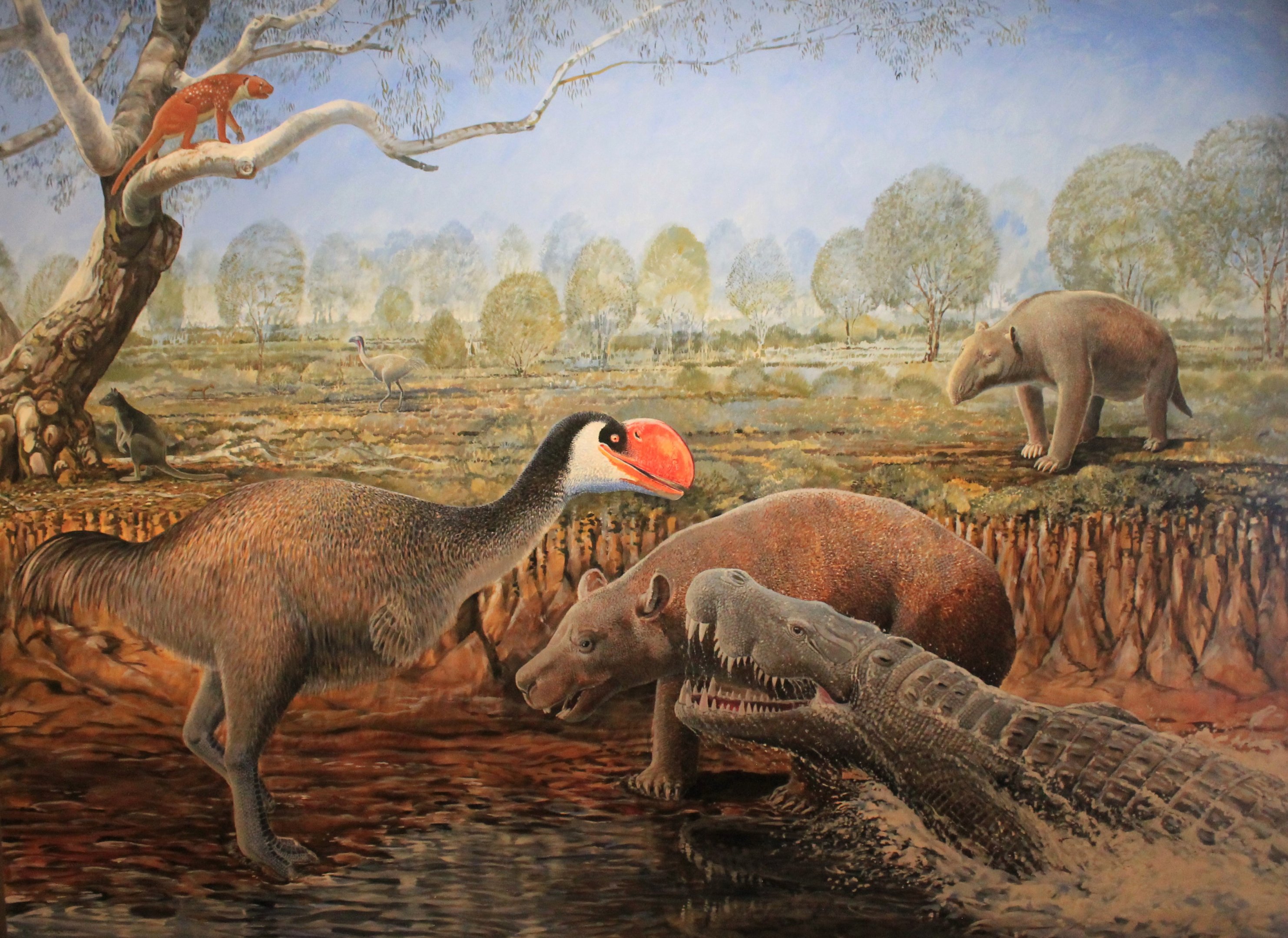 Recreation of Alcoota habitat - Megafauna Central museum