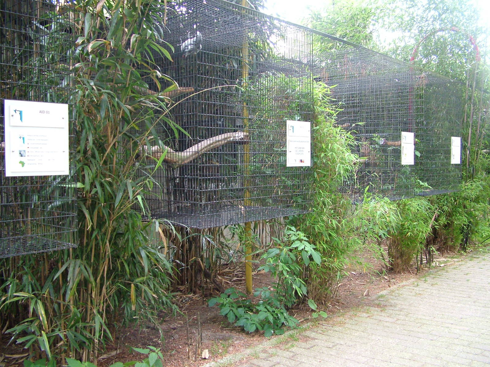 Recuperation cages at NOP, Veldhoven 16/05/09