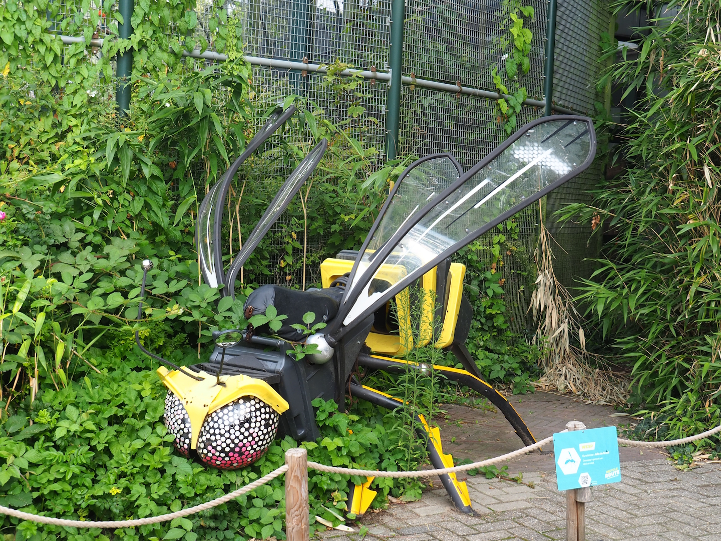 Recycled materials artwork exhibition - Wasp, 2023-08-17
