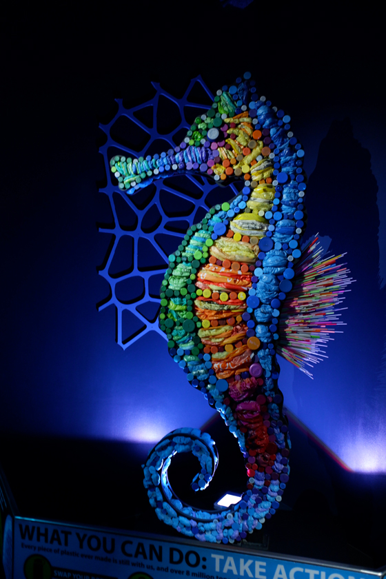 recycled plastic seahorse