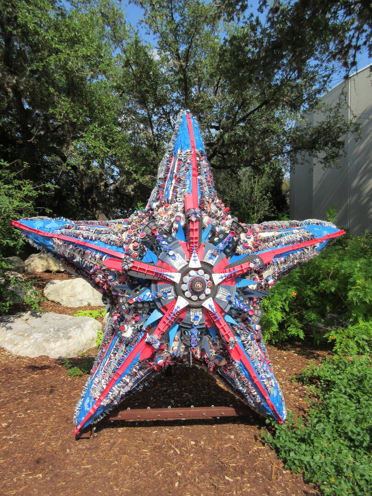 Recycled Starfish