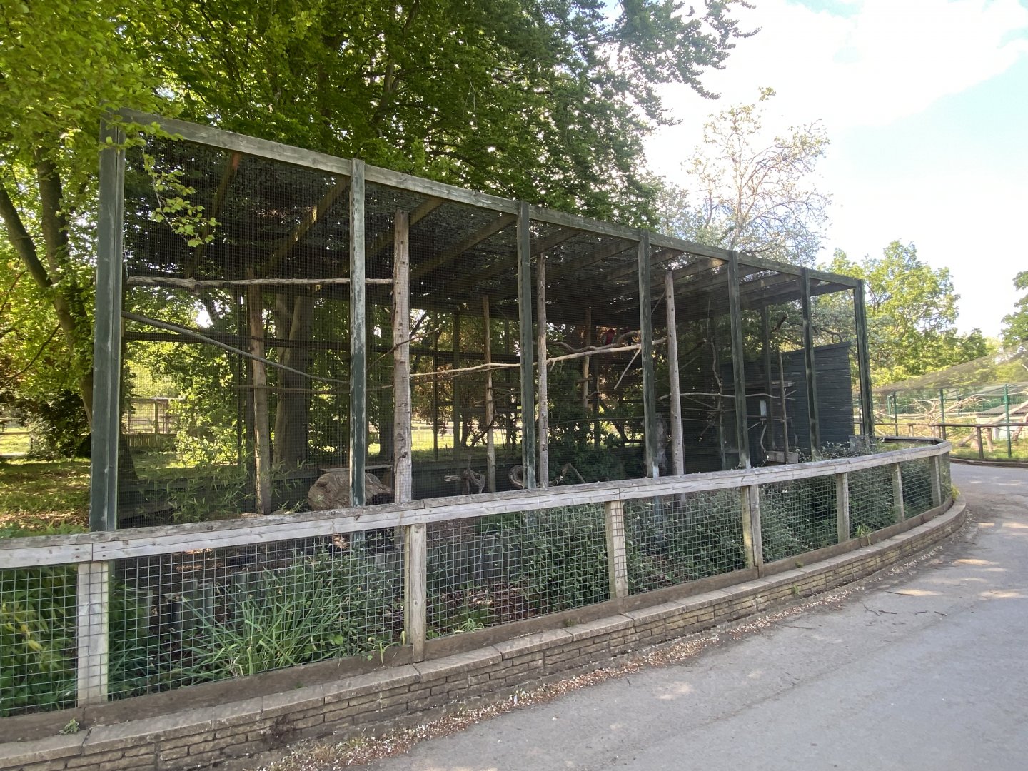 Red-and-green macaw aviary 090525