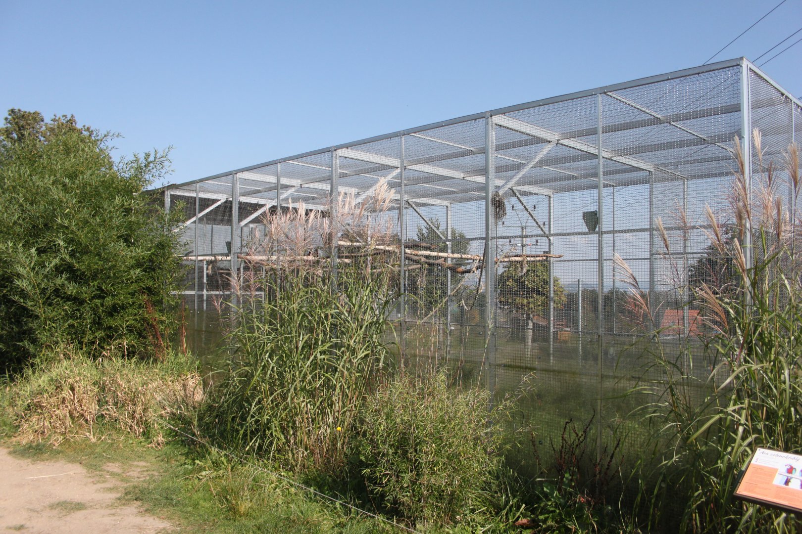 Red and green macaw aviary