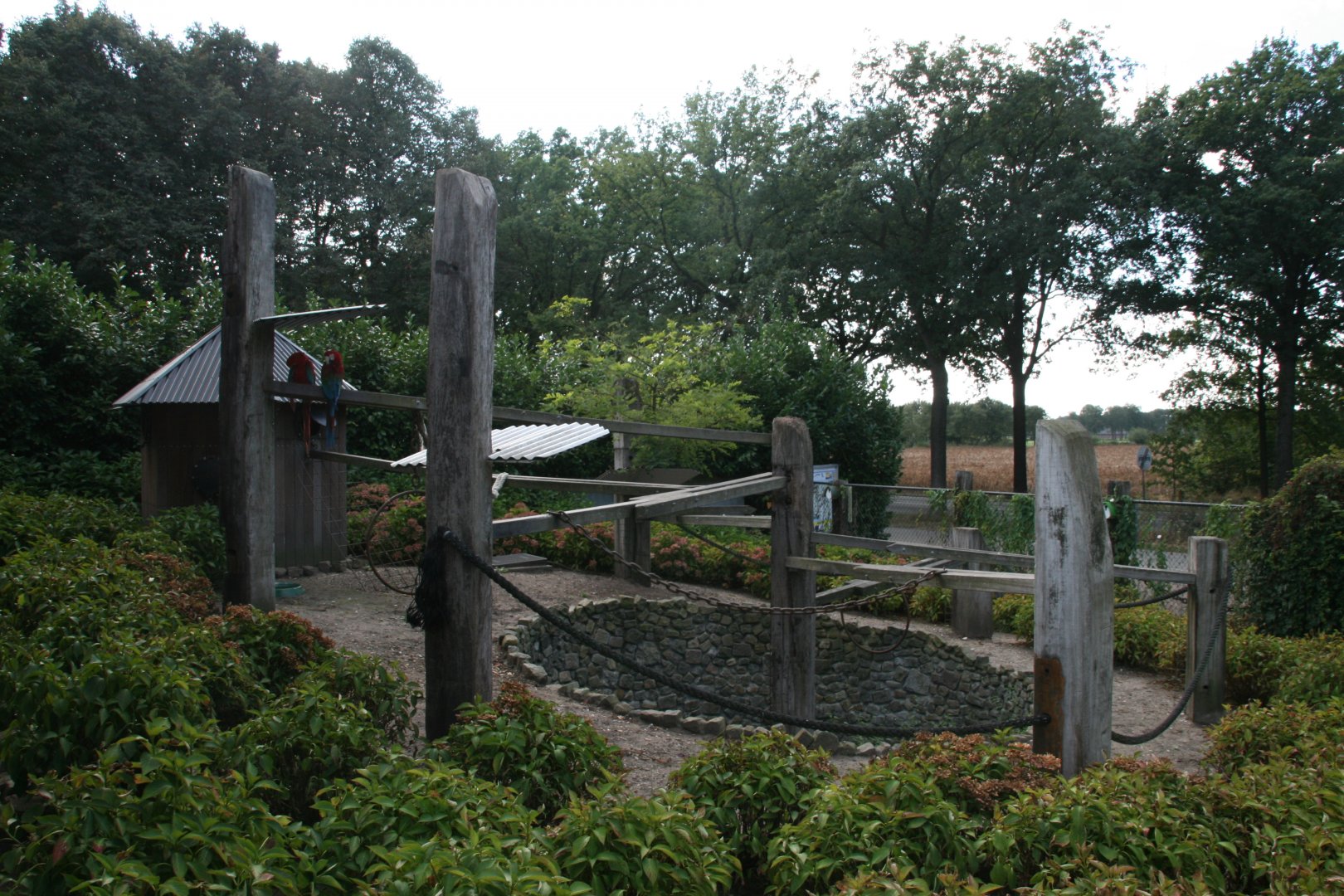 Red-and-green macaw enclosure