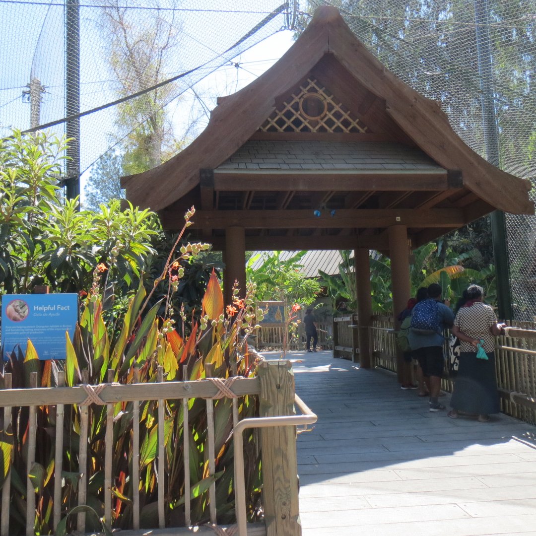 Red Ape Rainforest Entrance