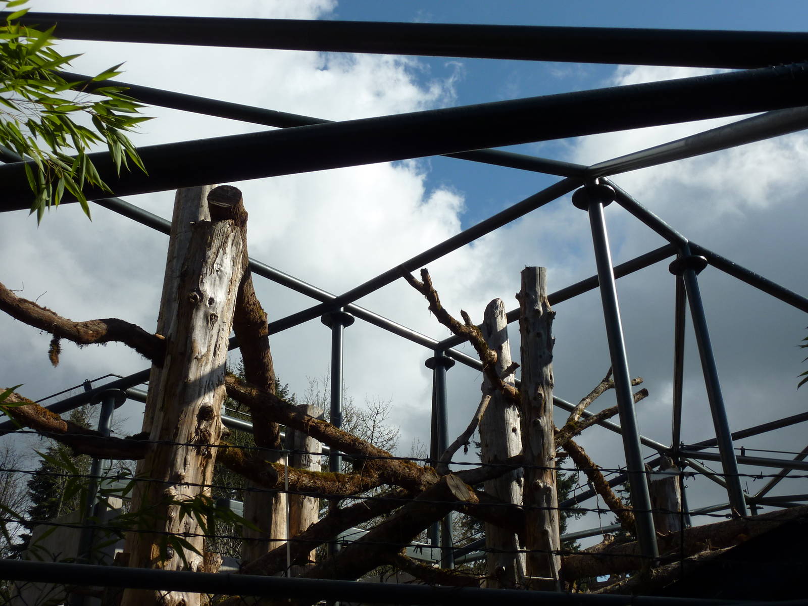 Red Ape Reserve - Construction