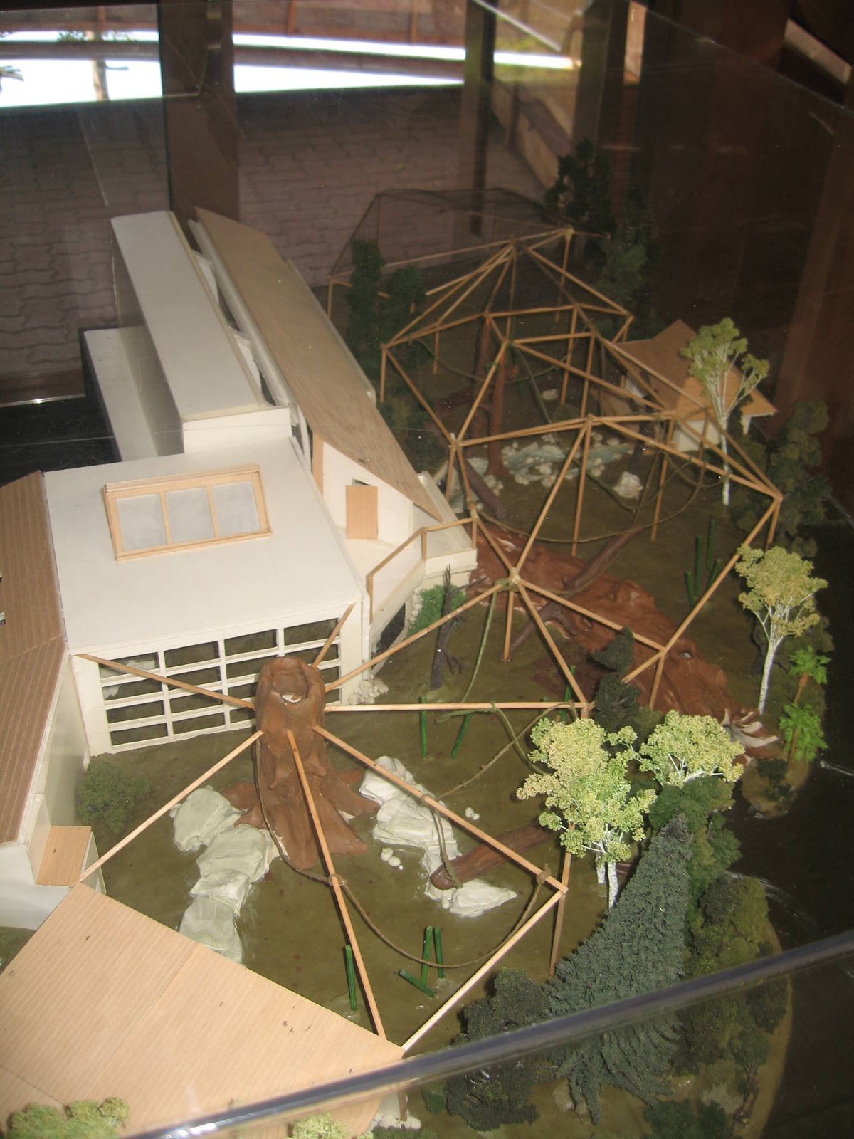 Red Ape Reserve model