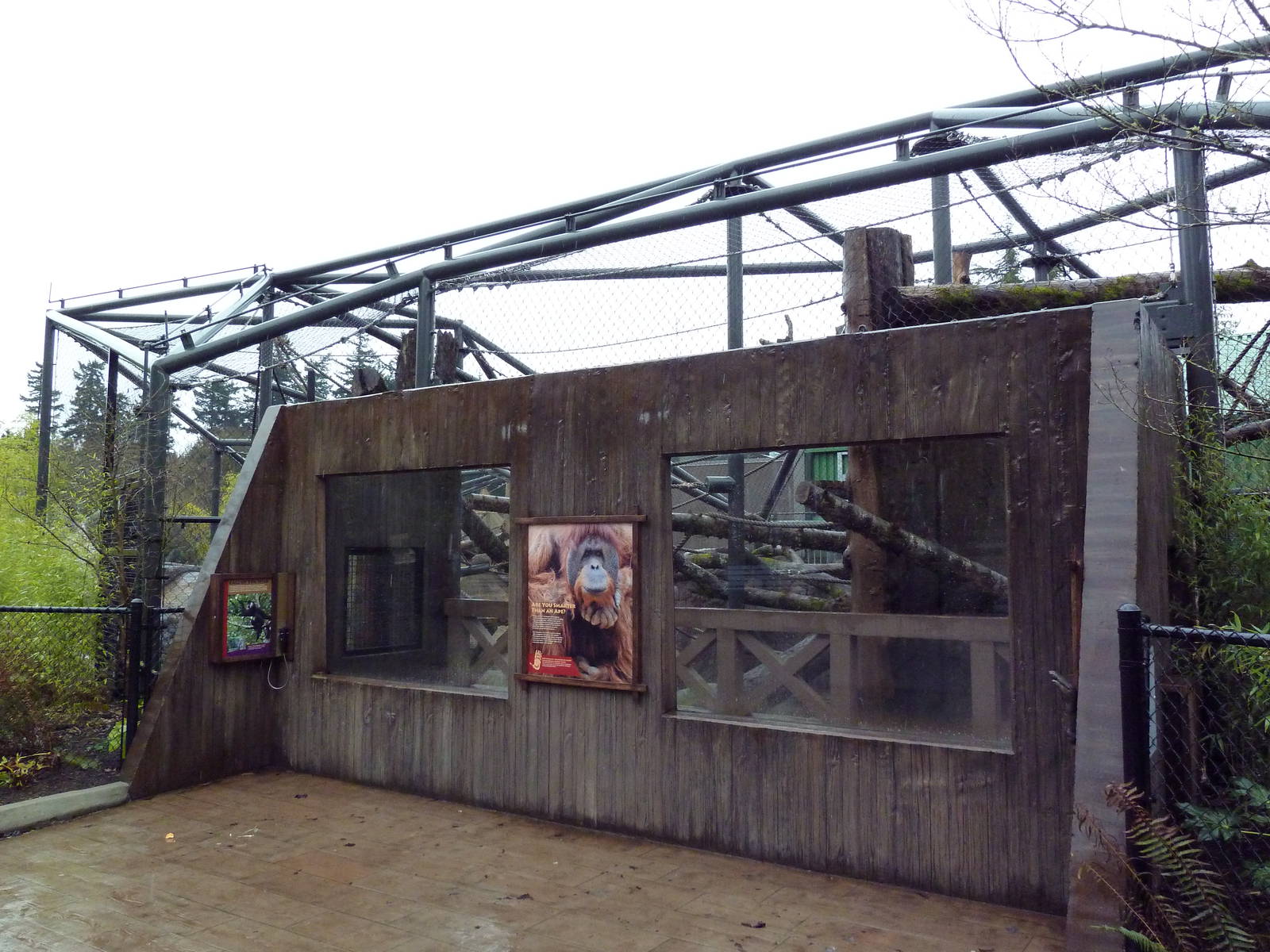 Red Ape Reserve - New In 2010
