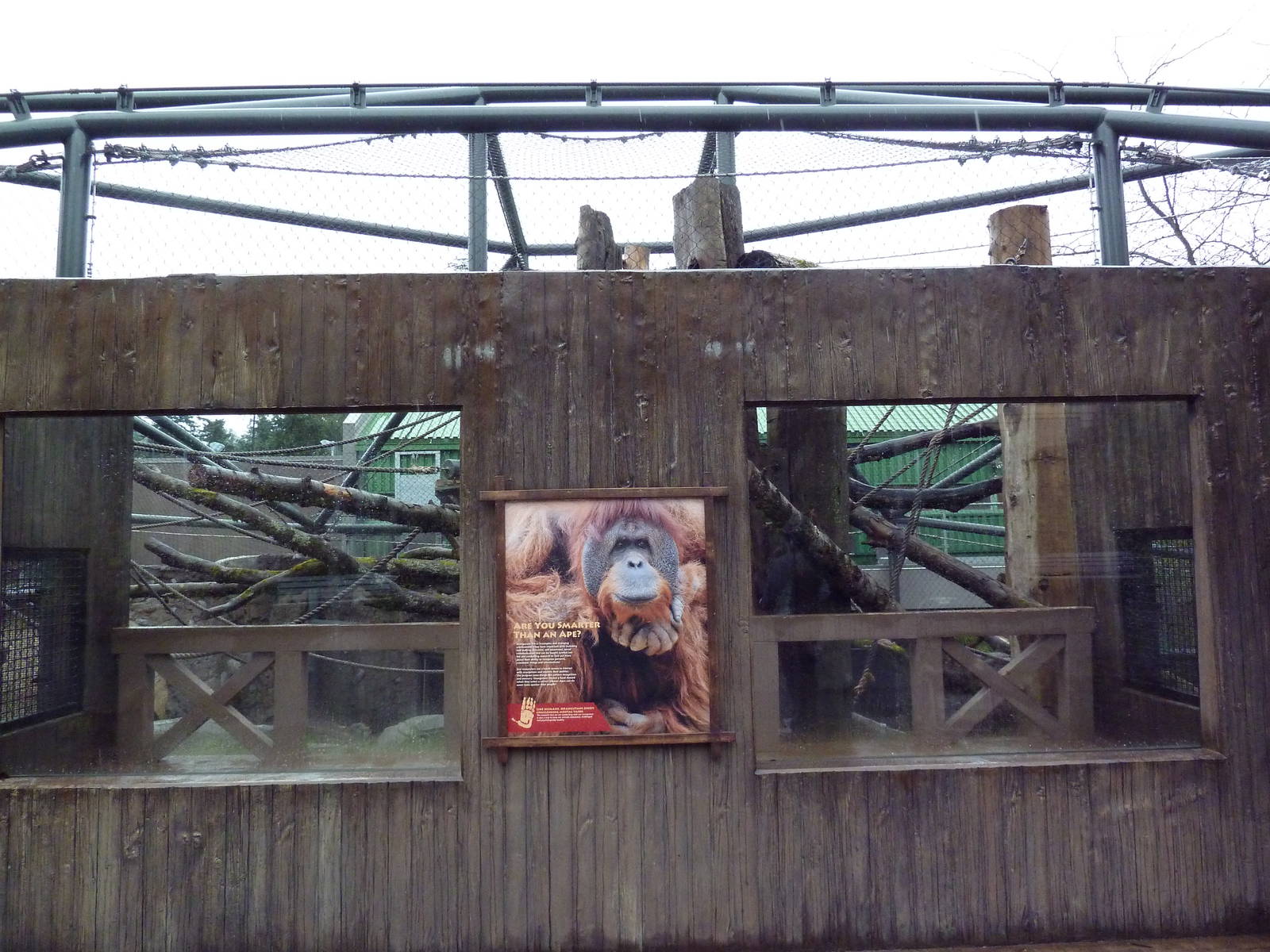 Red Ape Reserve - New In 2010
