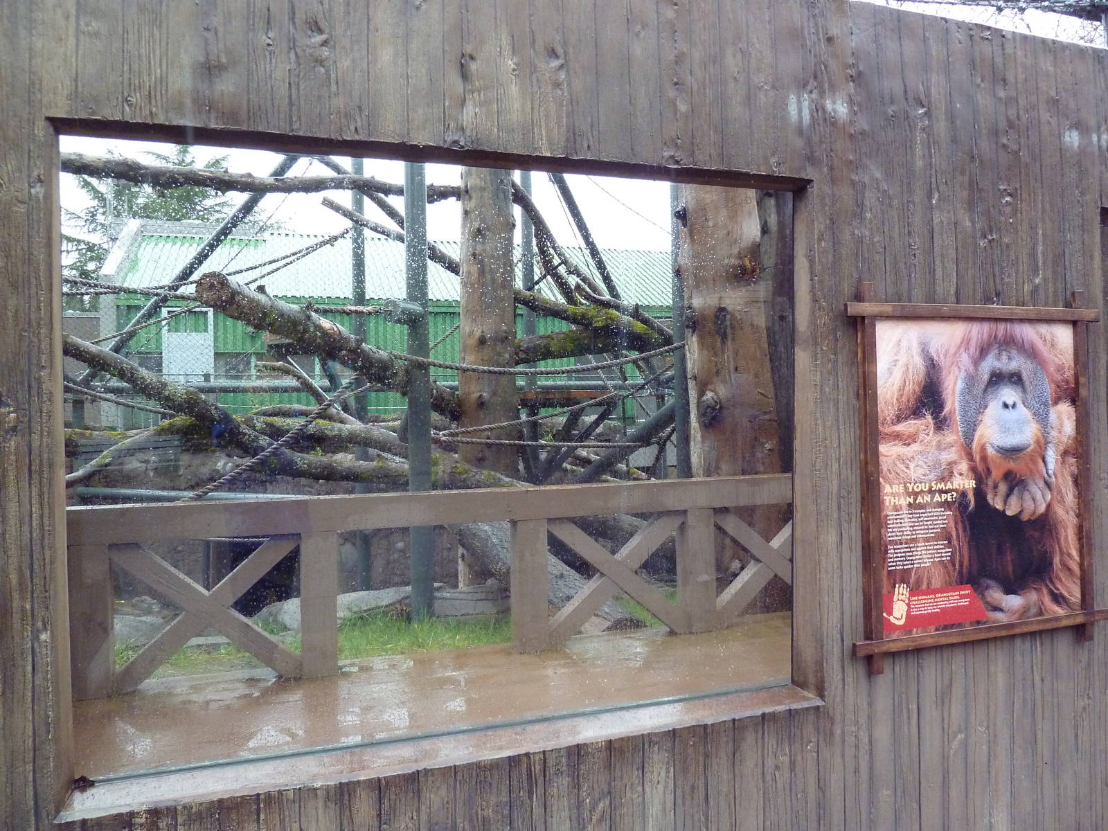 Red Ape Reserve - New In 2010