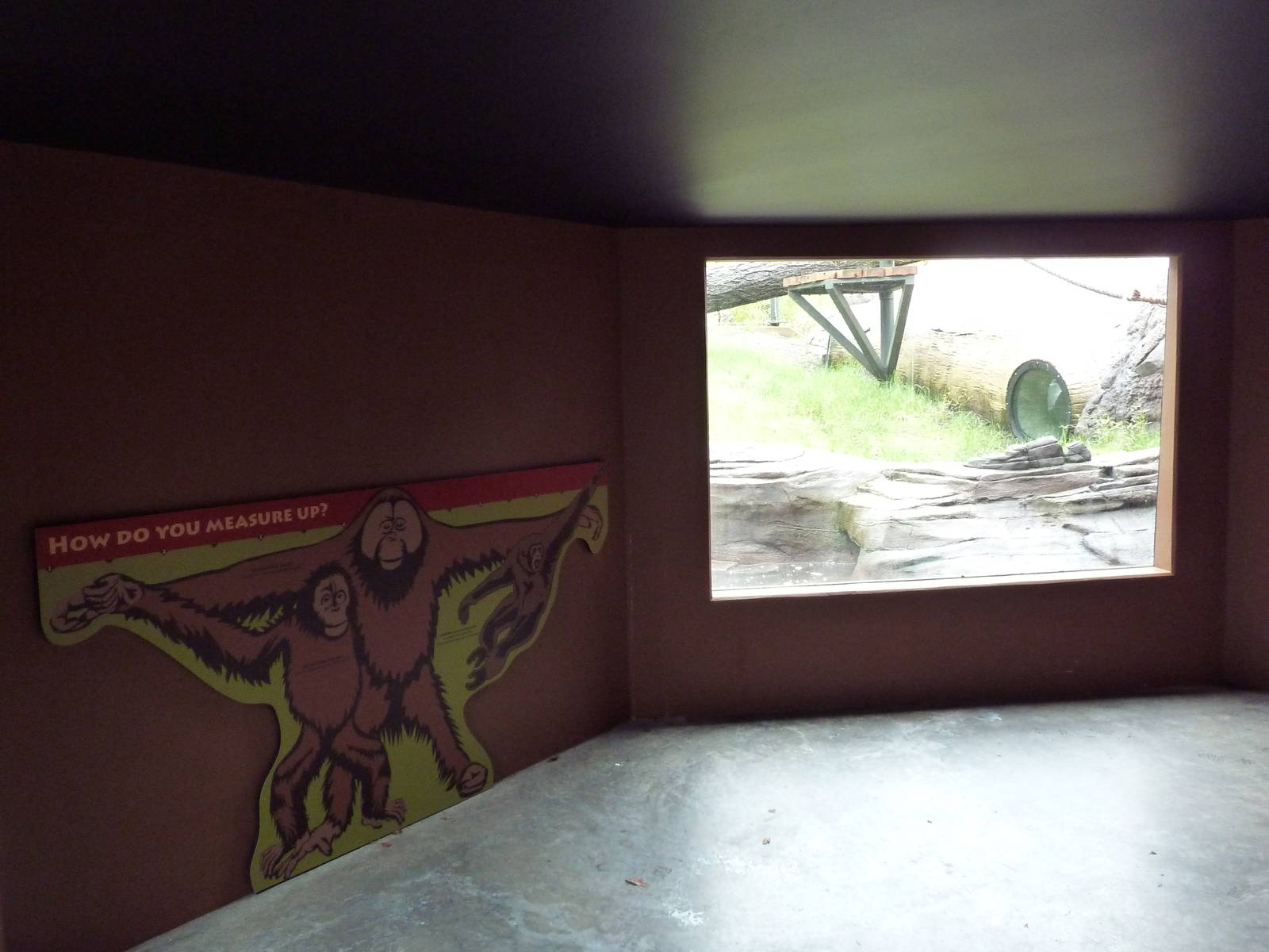 Red Ape Reserve - New In 2010