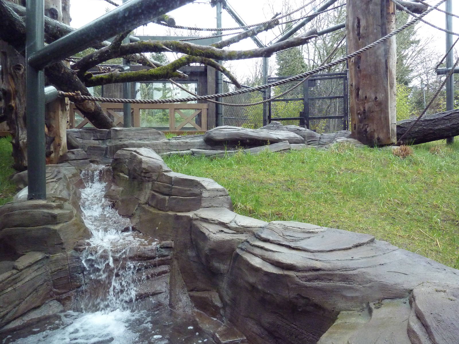 Red Ape Reserve - New In 2010