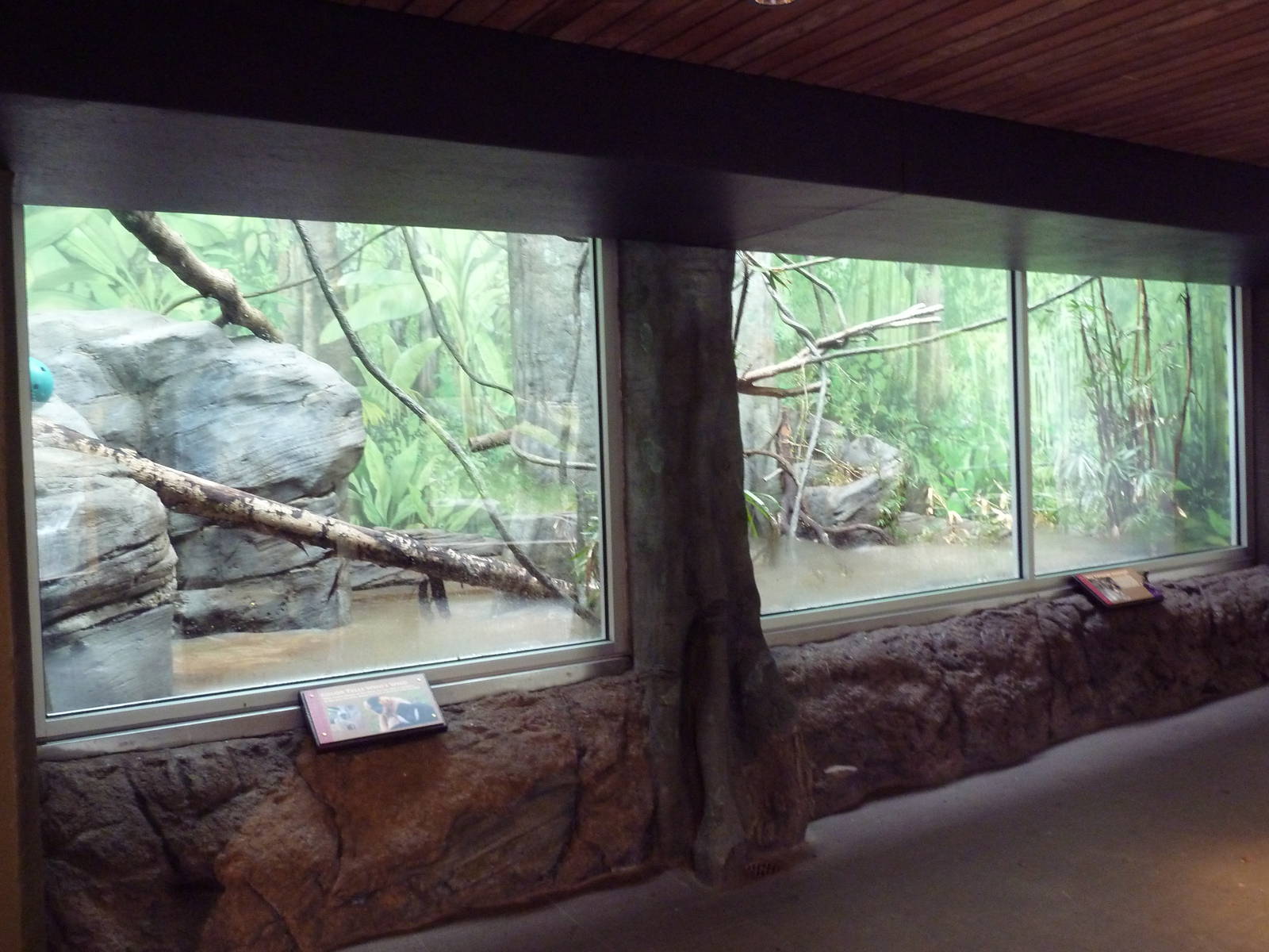 Red Ape Reserve - New In 2010