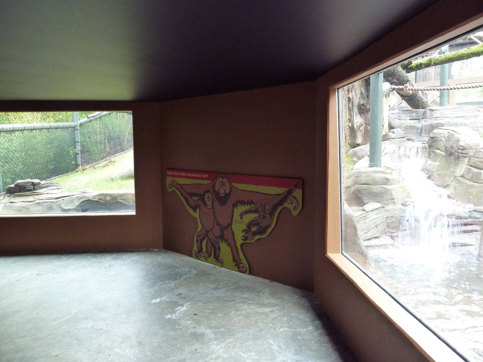 Red Ape Reserve - New In 2010