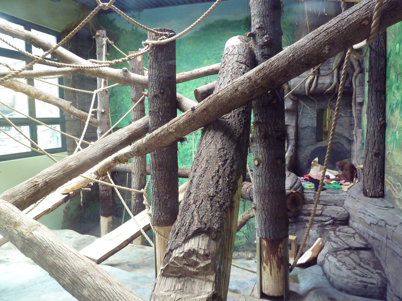 Red Ape Reserve - New In 2010