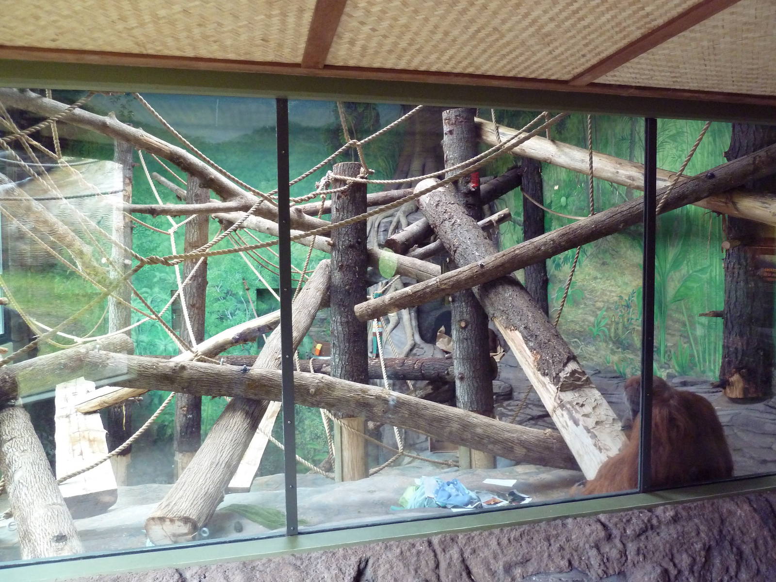 Red Ape Reserve - New In 2010