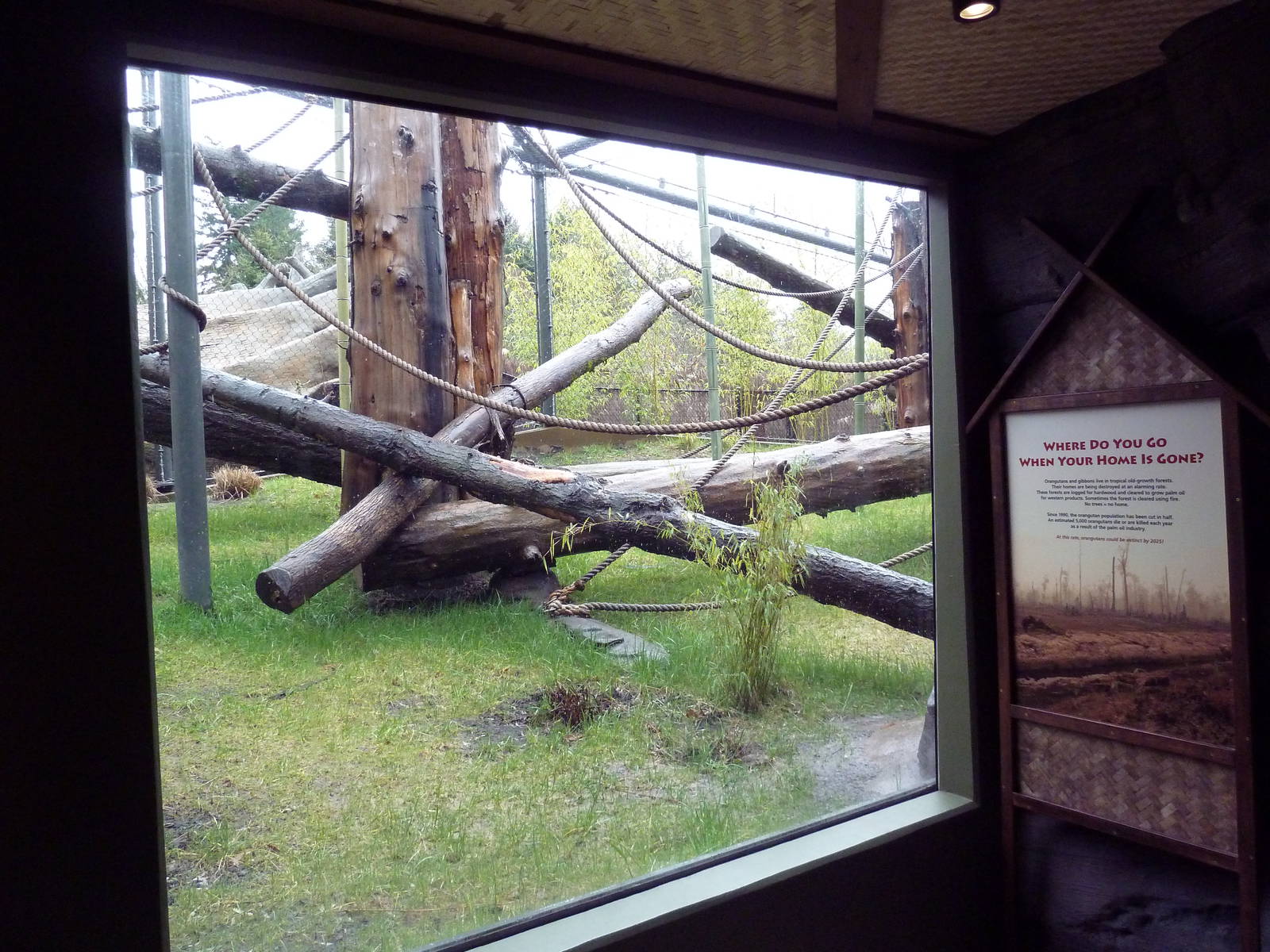 Red Ape Reserve - New In 2010