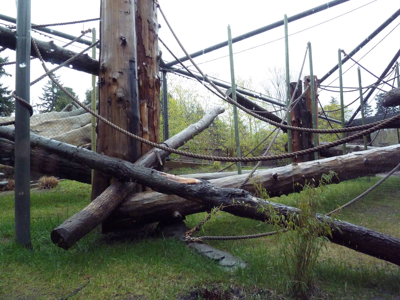 Red Ape Reserve - New In 2010