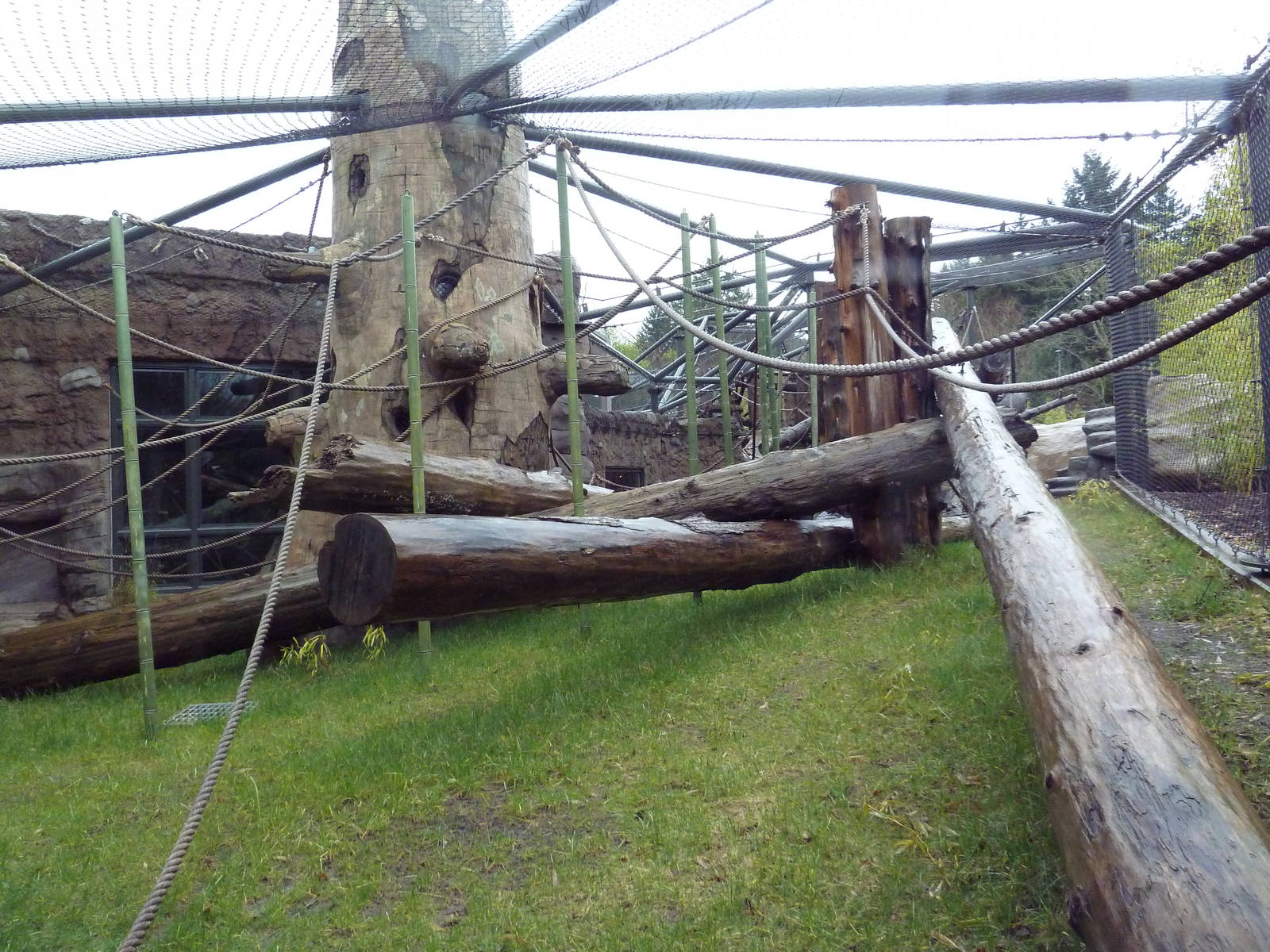 Red Ape Reserve - New In 2010