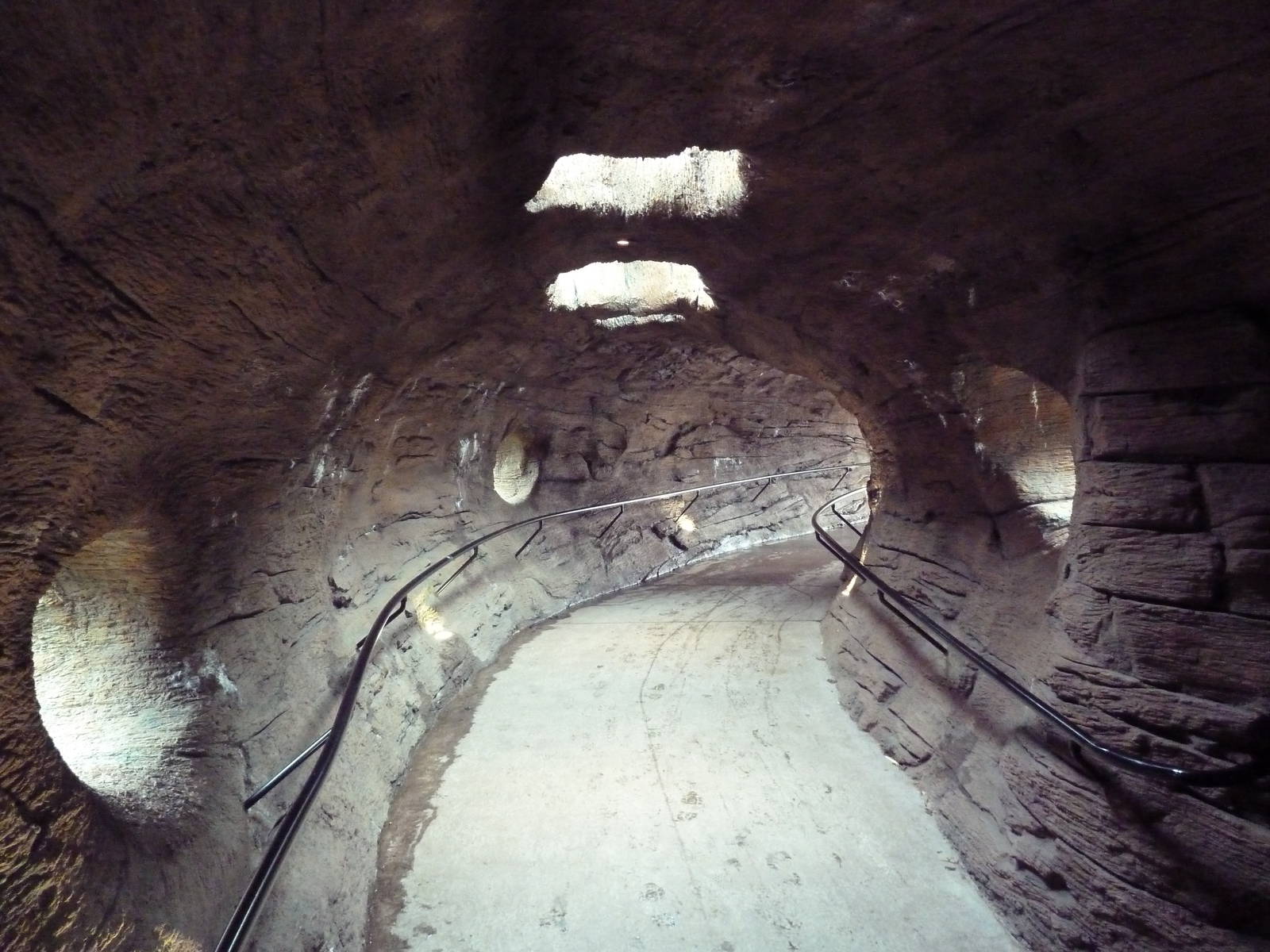 Red Ape Reserve Viewing Tunnel - New In 2010