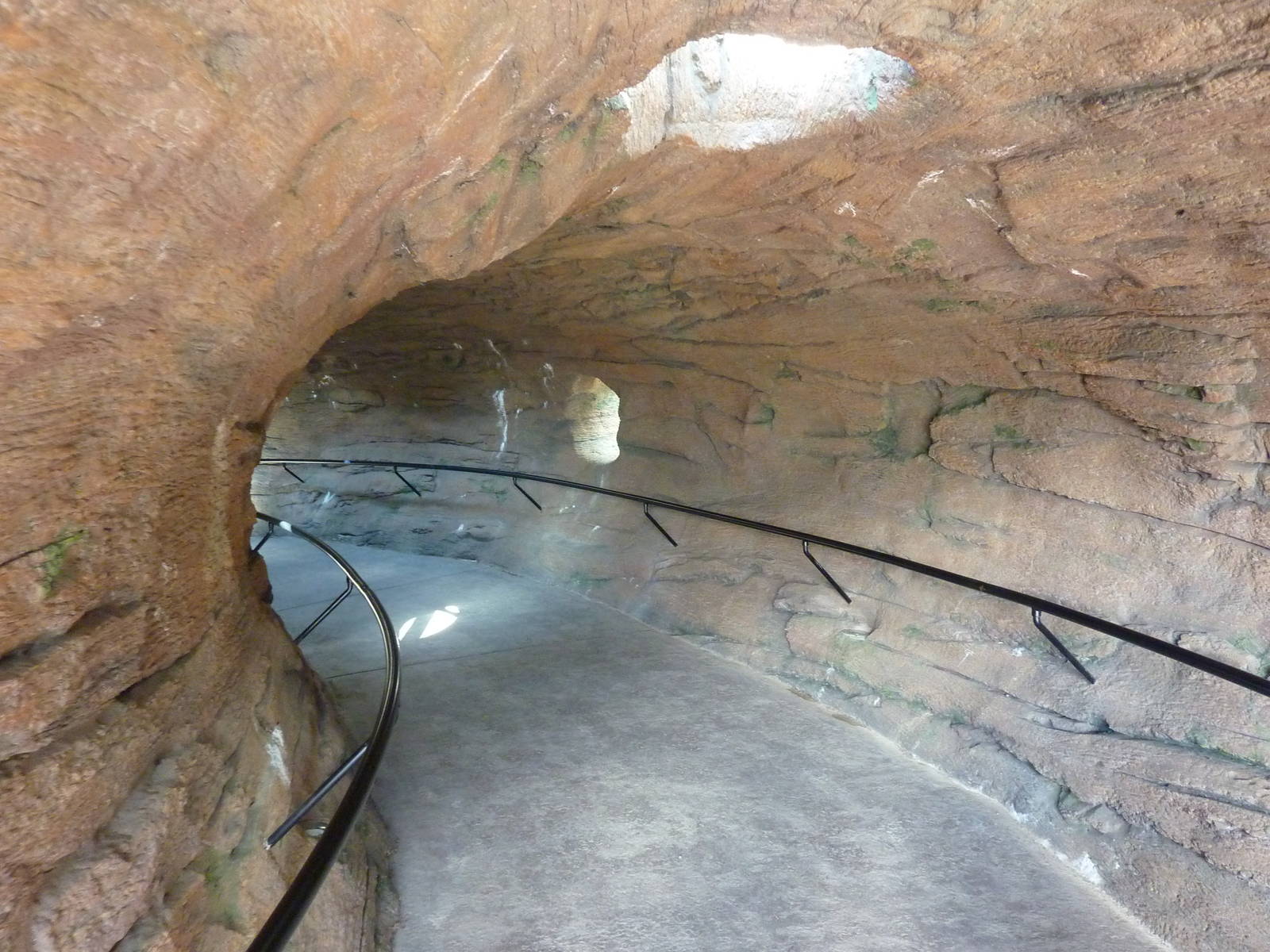 Red Ape Reserve - Visitor Tunnel