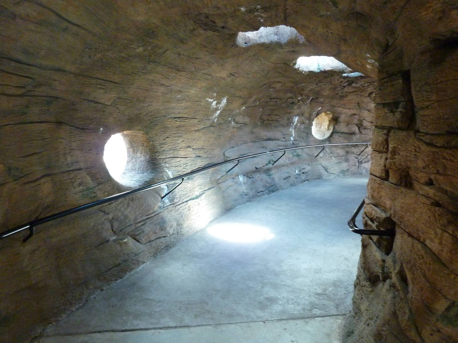 Red Ape Reserve - Visitor Tunnel