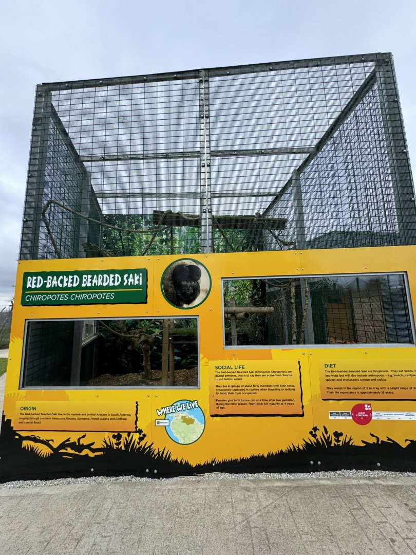 Red-backed Bearded Saki Signage at Wolds Wildlife Park (March 2024)