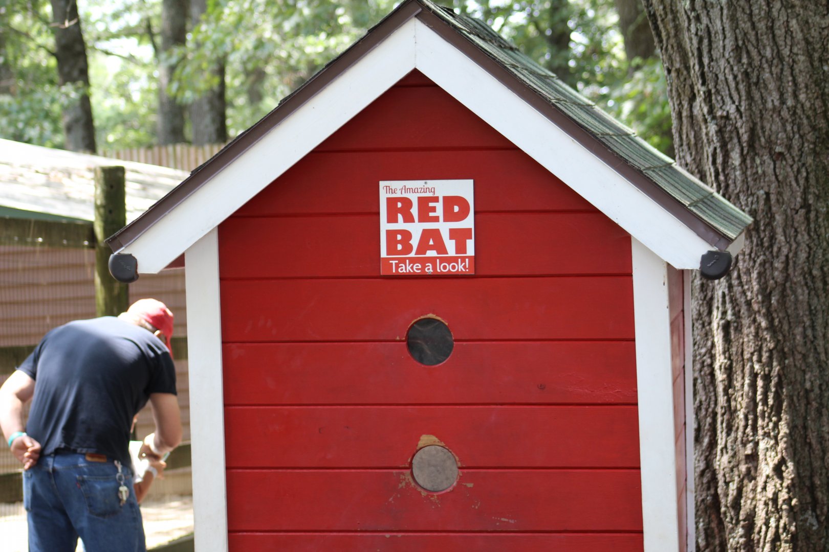 Red Bat House