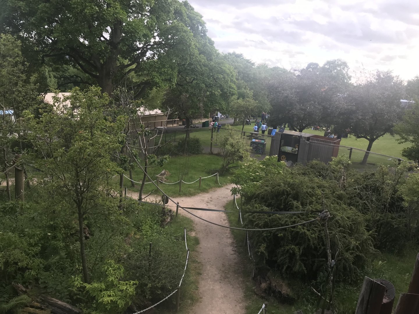 Red bellied and ring tailed lemur walthrough enclosure (3)