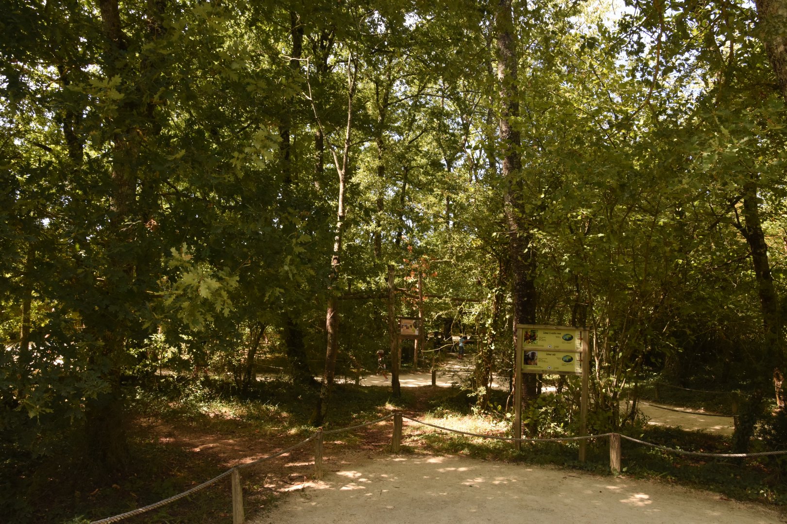 Red-bellied & Black Lemur walkthrough