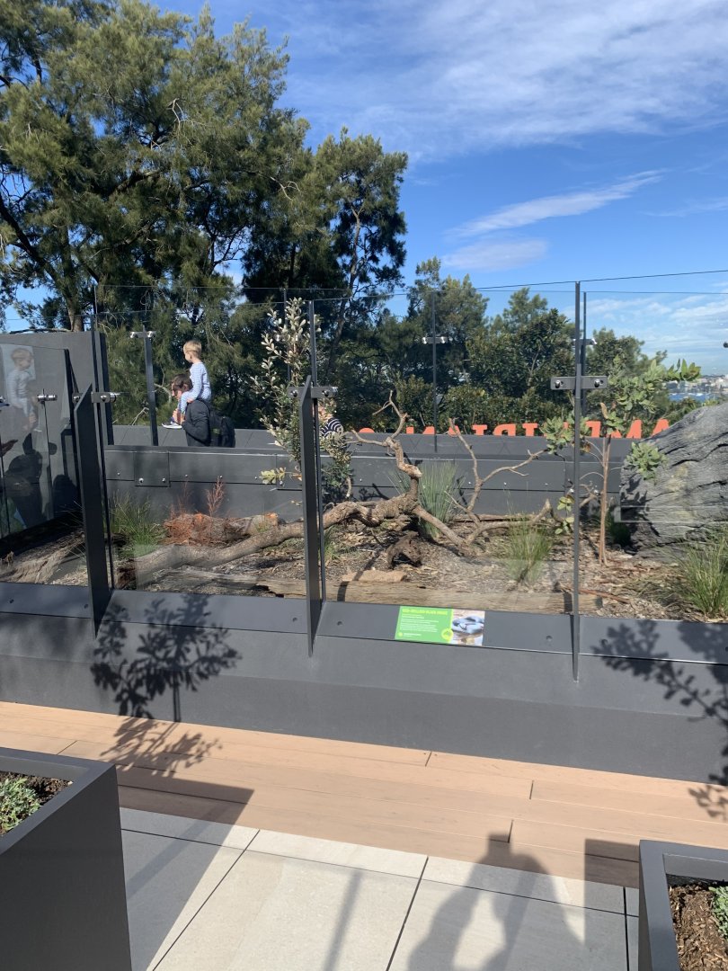 Red bellied black snake enclosure (arc)