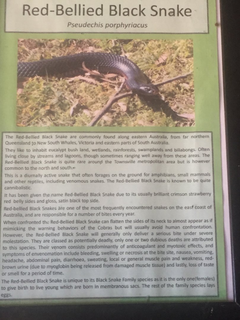 Red bellied black snake signage