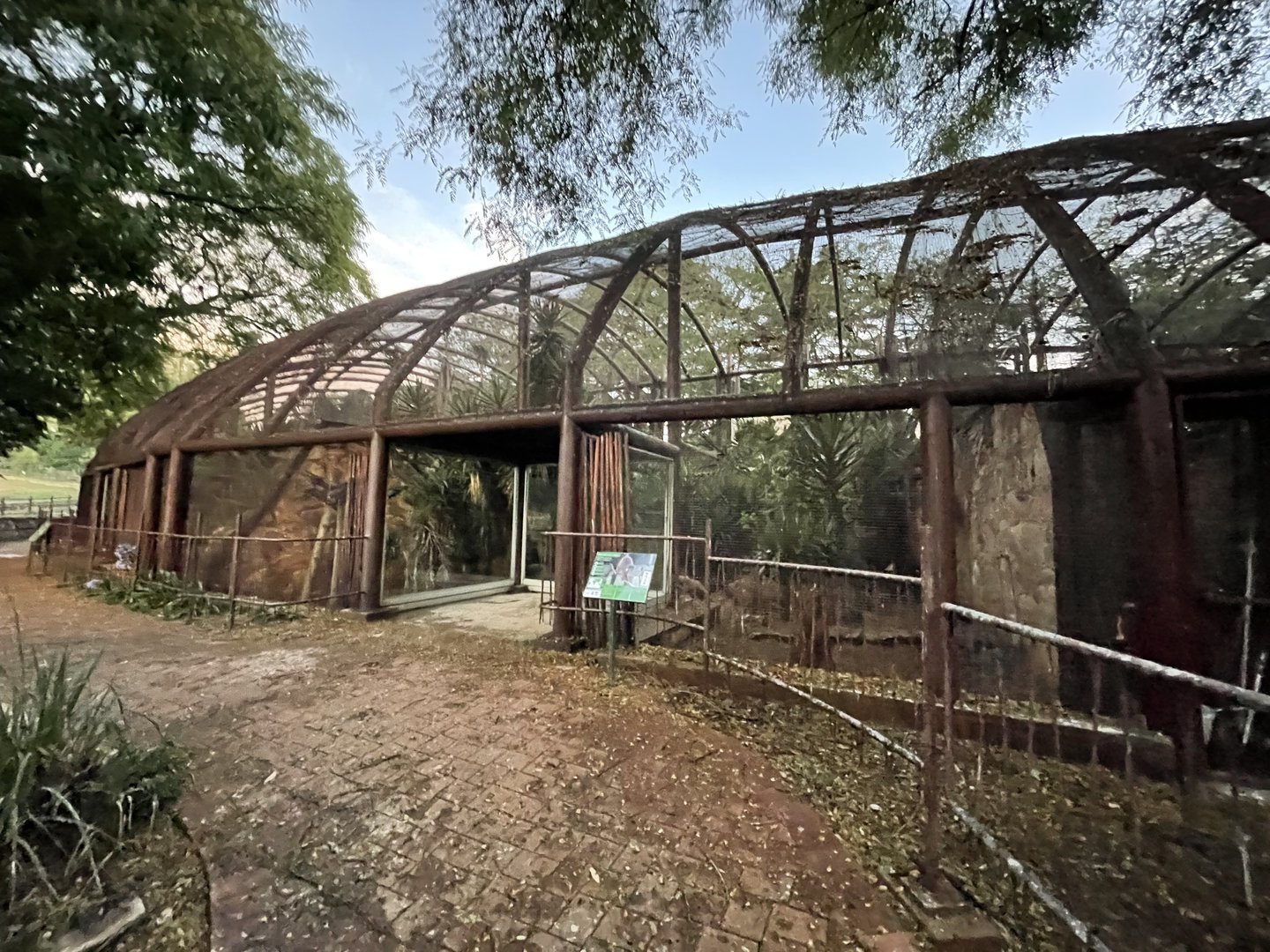 Red-bellied Lemur Enclosure (Eulemur rubriventer)