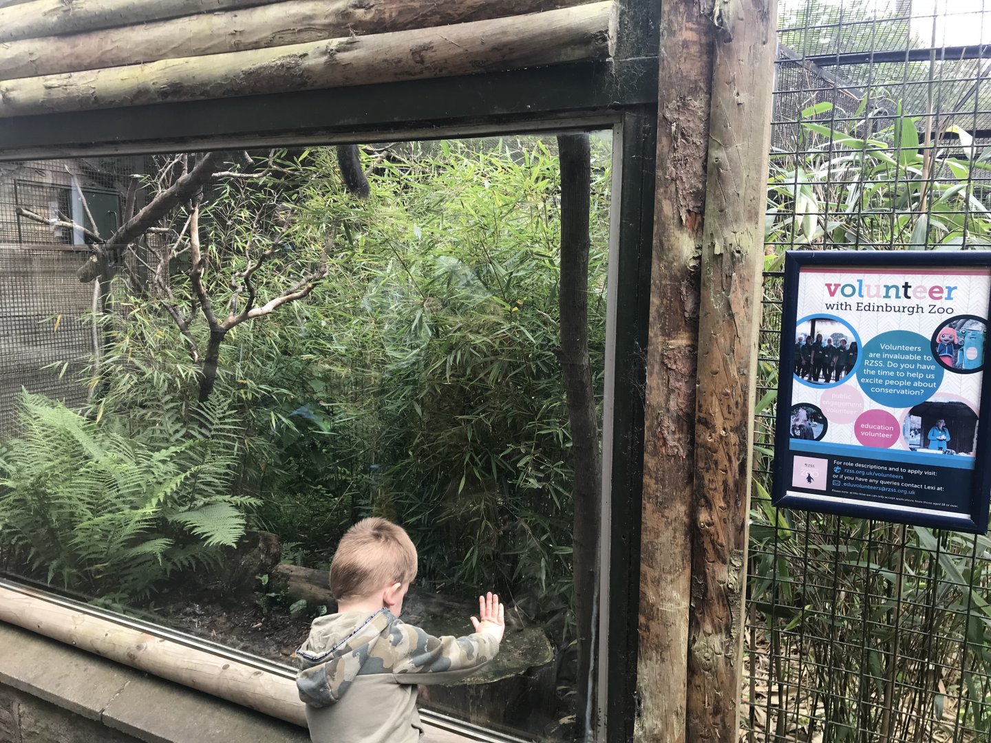 Red bellied lemur enclosure