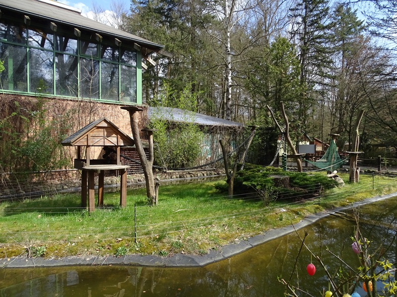 Red-bellied lemur enclosure