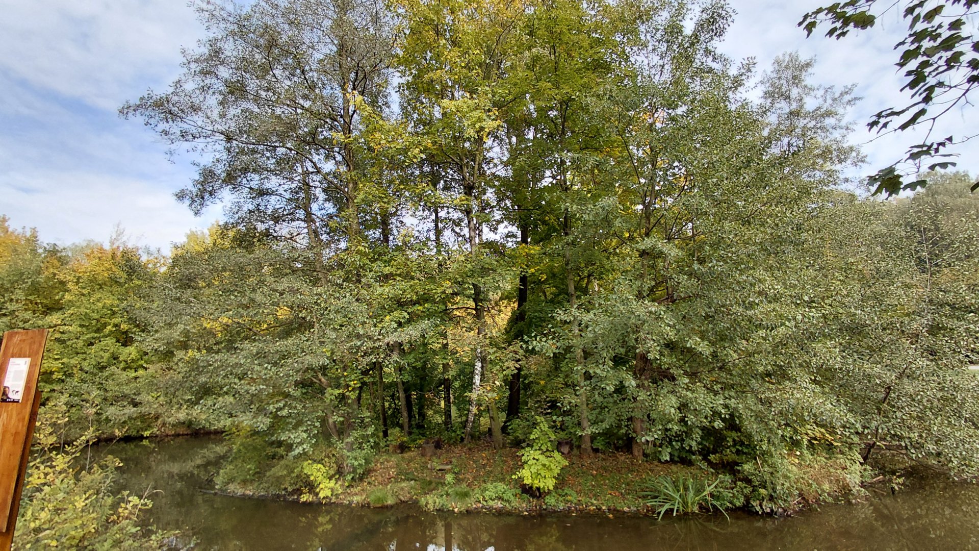 Red-bellied lemur exhibit