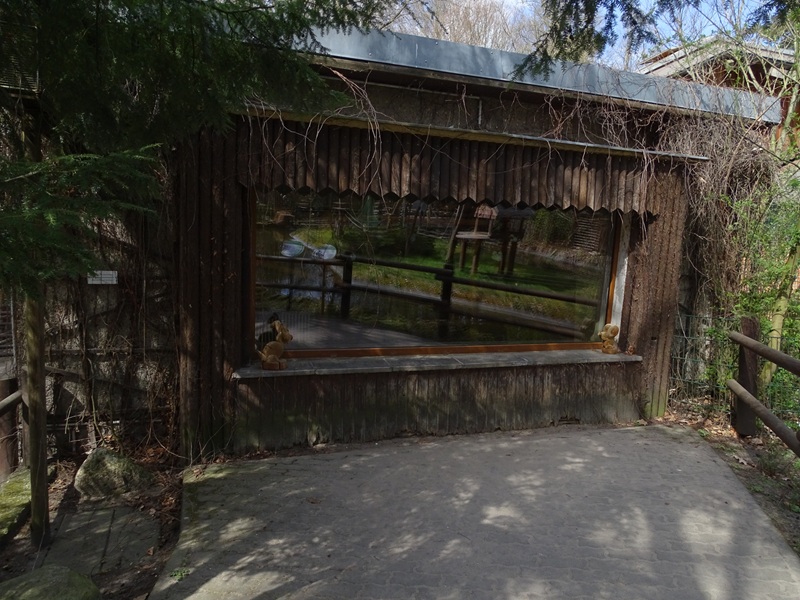 Red-bellied lemur indoor enclosure