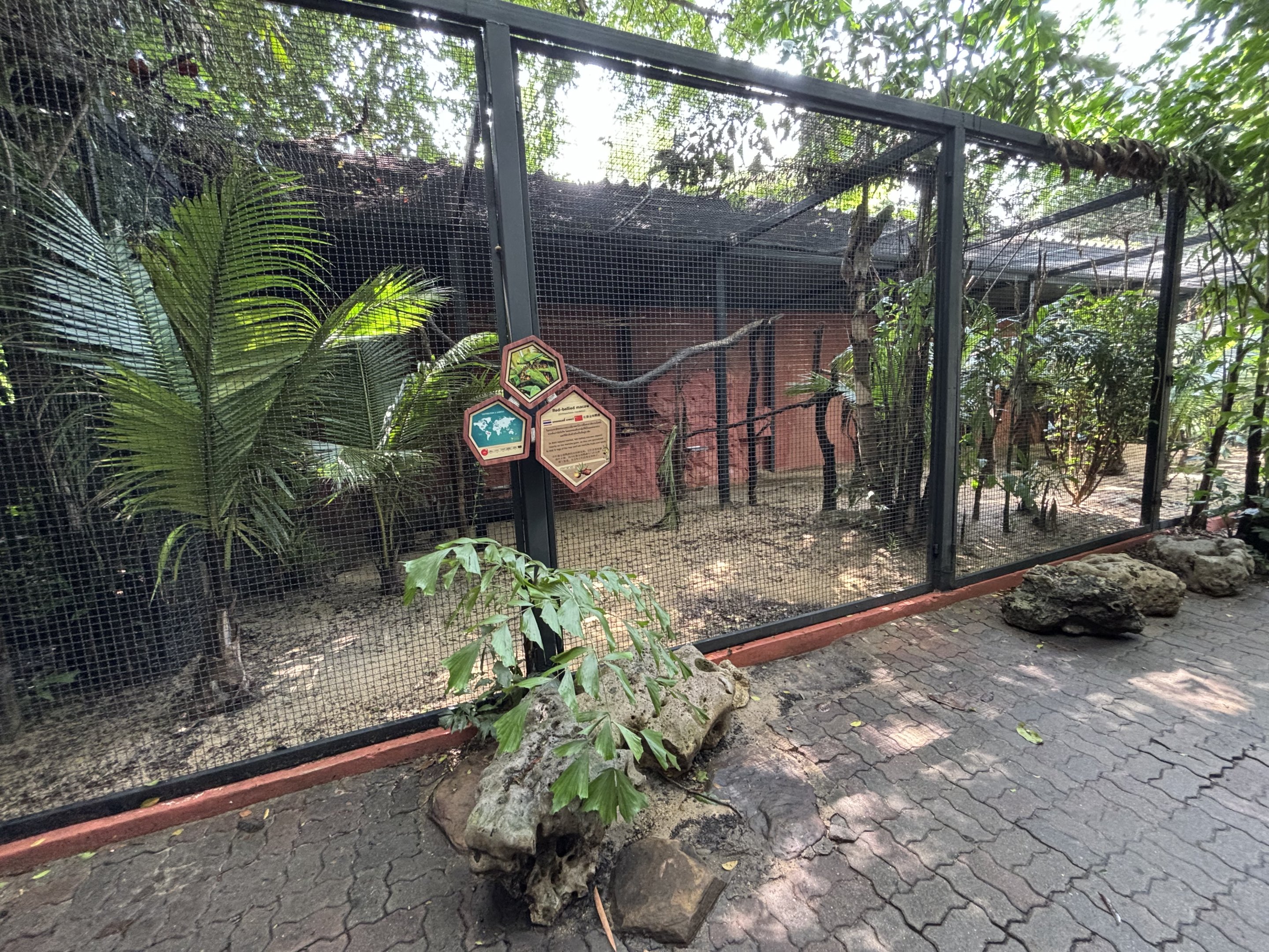Red-bellied Macaw Aviary