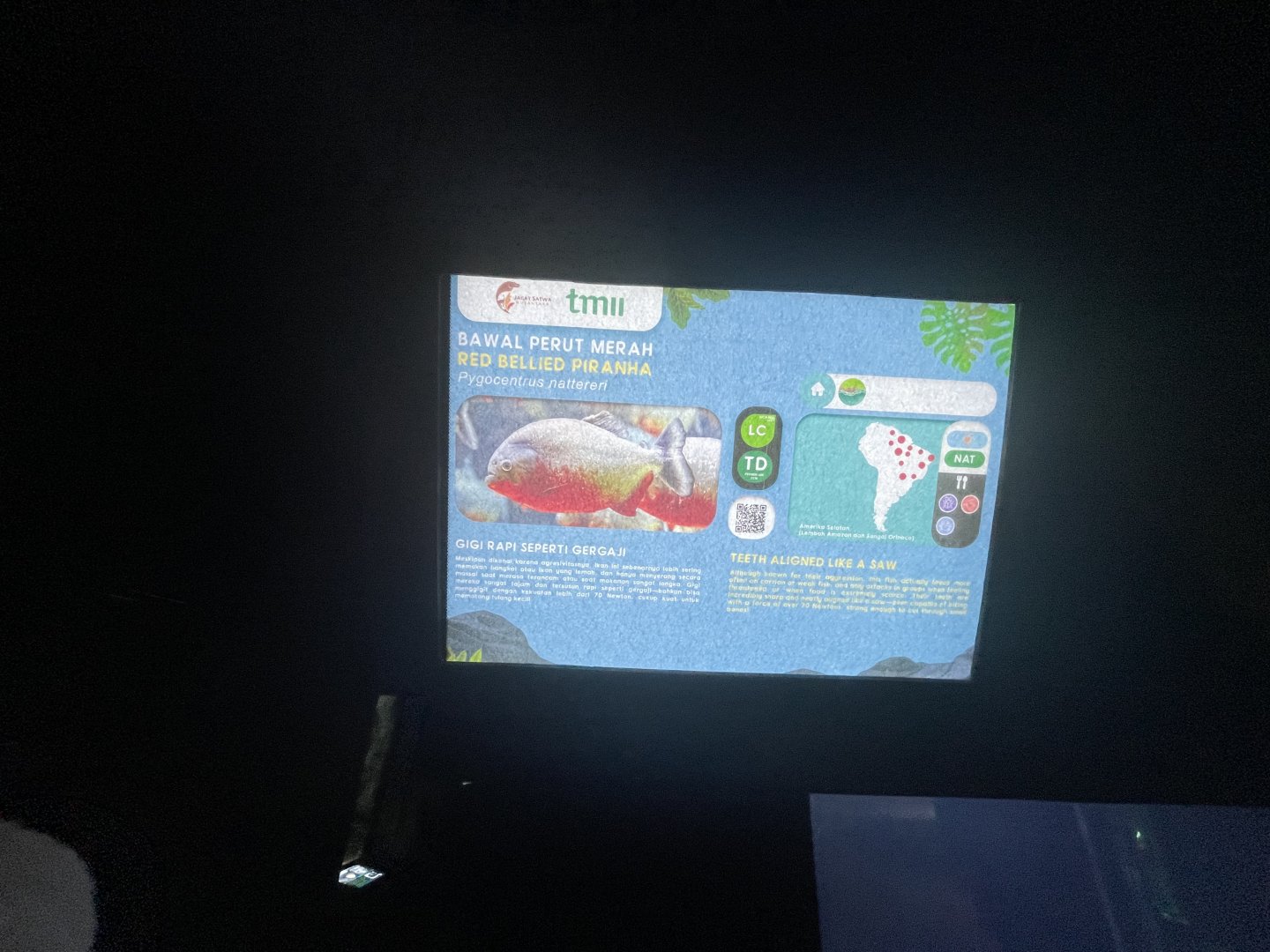 red-bellied piranha signage - dunia air tawar