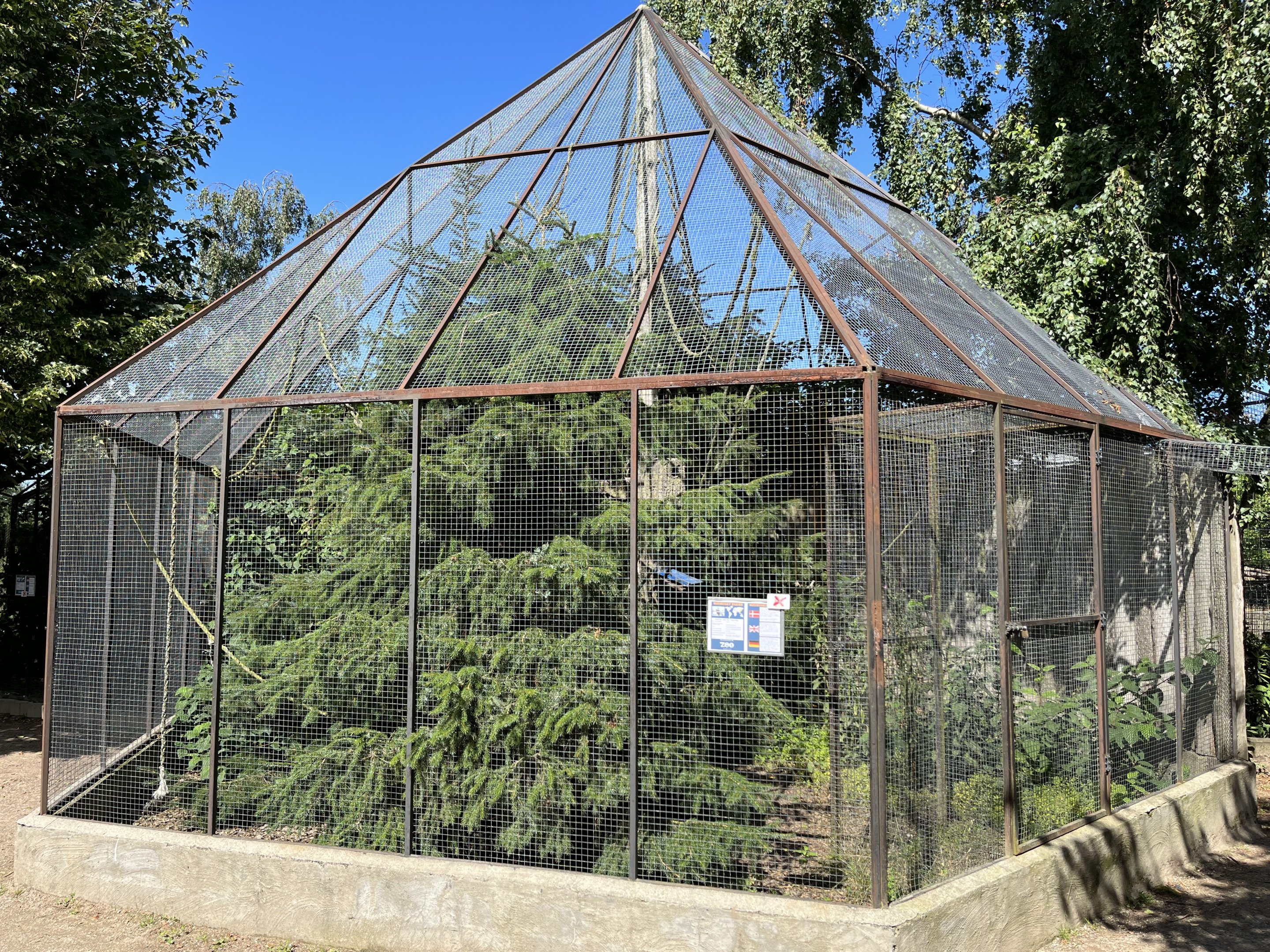 Red-bellied Squirrel Exhibit