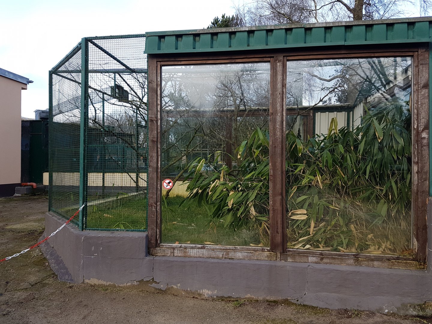 Red-bellied tamarin-enclosure