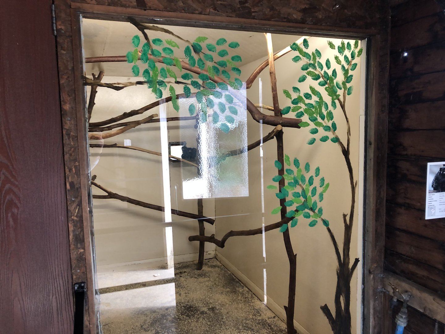 Red-bellied Tamarin Indoor Enclosure at Hamerton Zoo Park (October 2023)