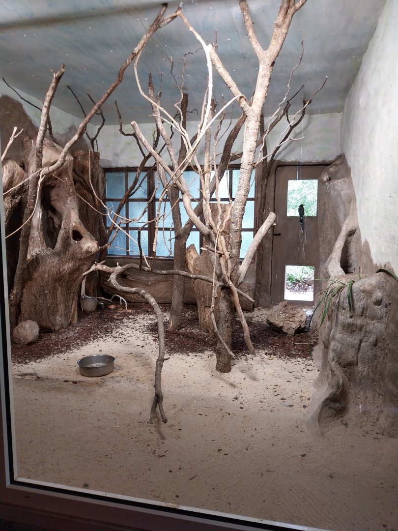 Red-billed blue magpie and Palawan peacock pheasant enclosure