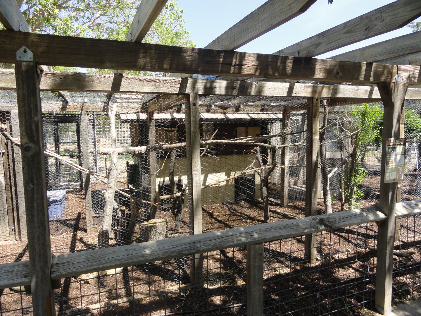 Red Billed Blue Magpie Exhibit