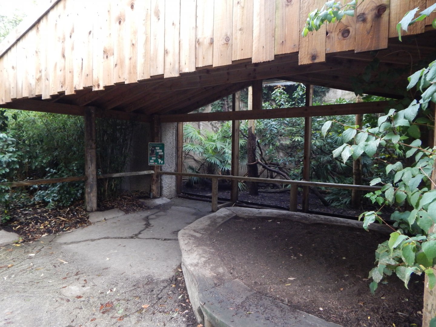 Red-billed curassow exhibit 081020