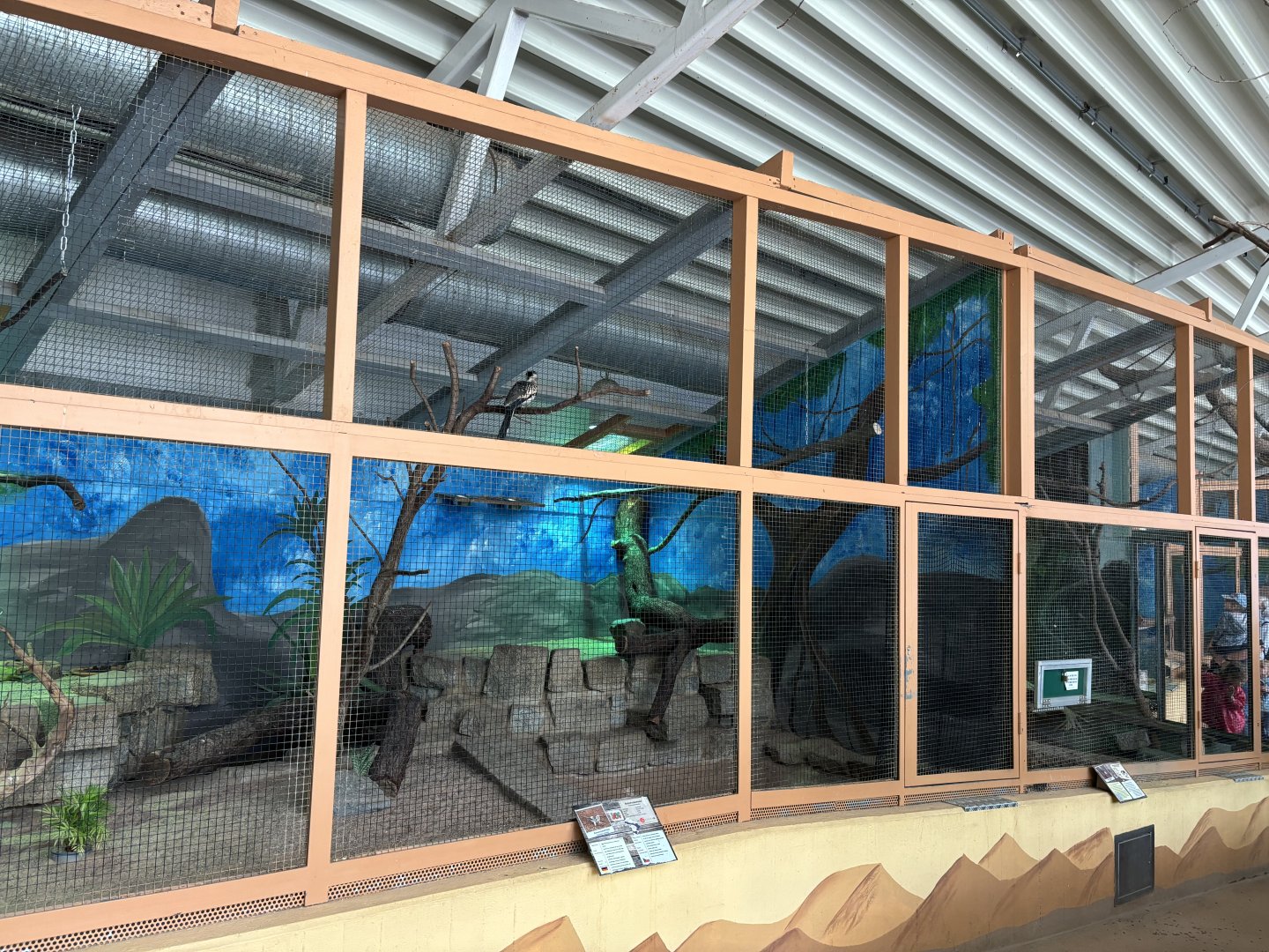 Red-billed Honbil and African Grey Parrot Enclosures at Zoologischer Garten Hof