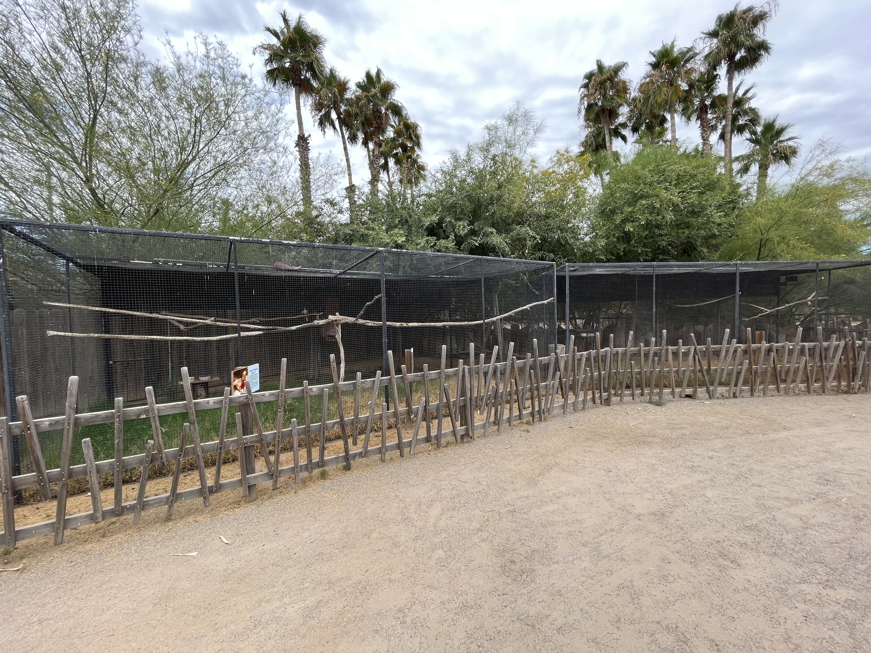 Red-billed Hornbill Aviaries