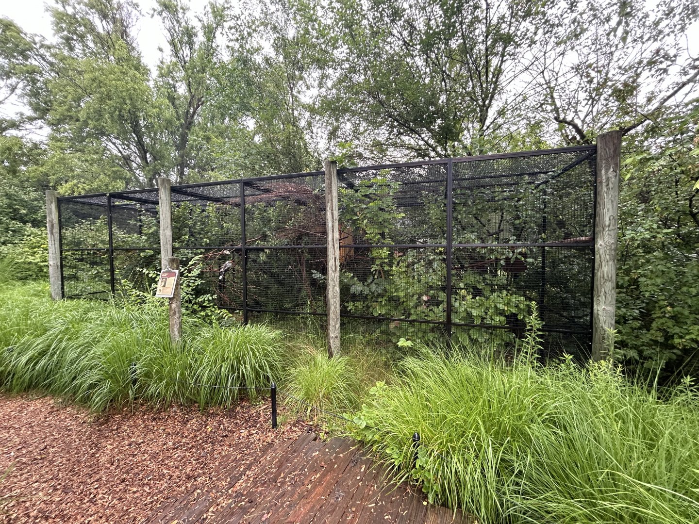 Red-billed Hornbill Aviary - African Journey