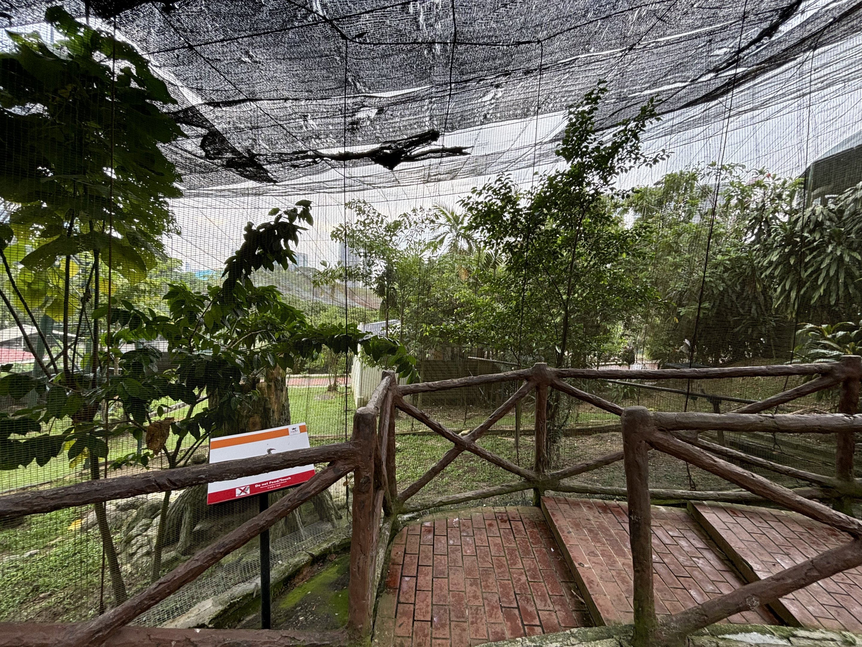 Red-billed Hornbill Aviary