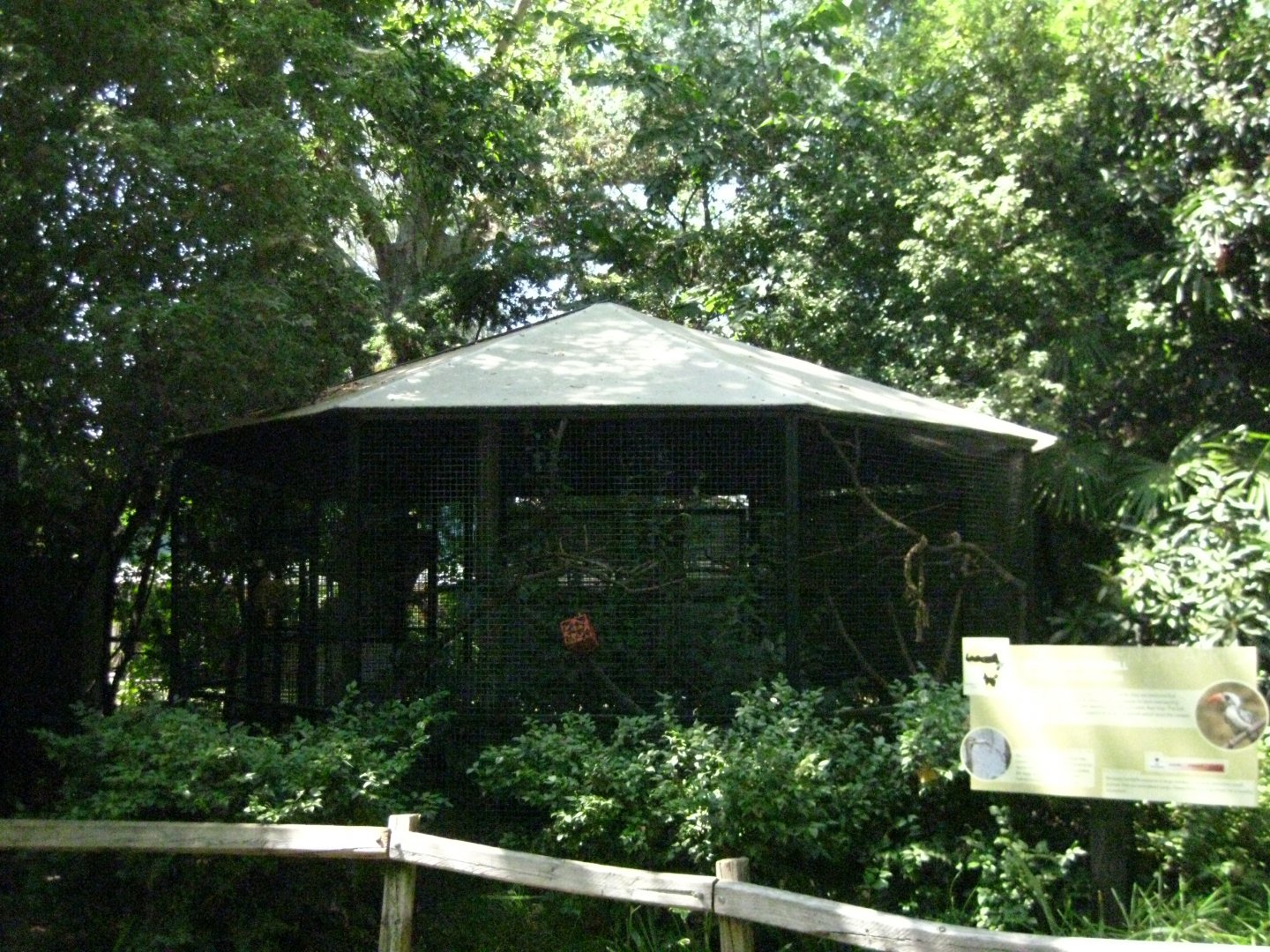 Red Billed Hornbill Exhibit